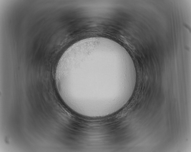 X0000096660370200803041205