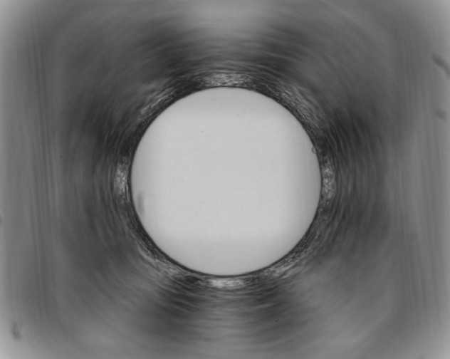 X0000096660371200803041205