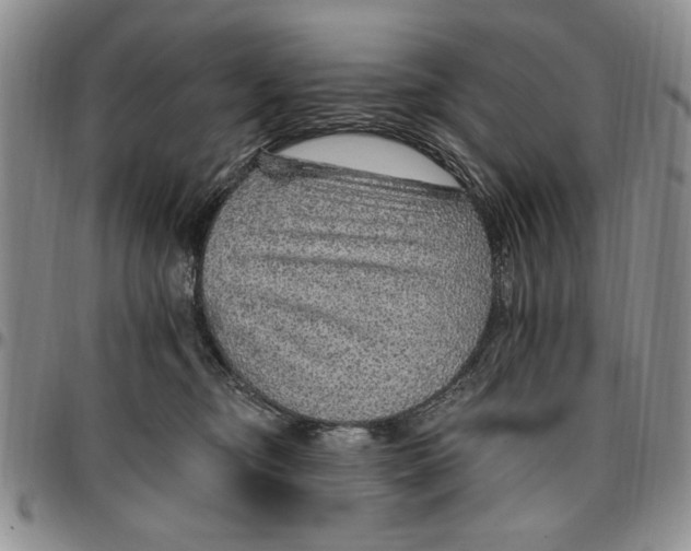 X0000096660374200803041205