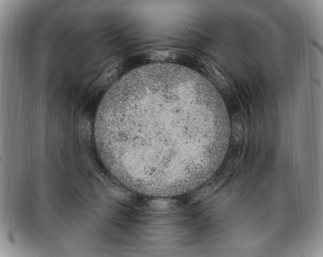 X0000096660375200803041205