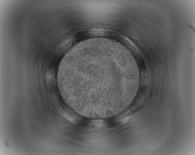 X0000096660377200803041205