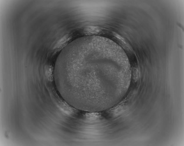 X0000096660378200803041205