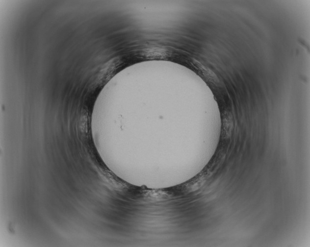 X0000096660379200803041205