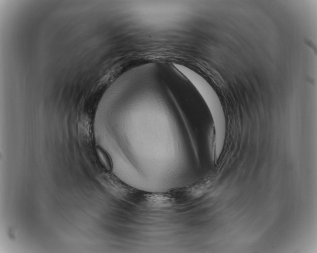 X0000096660380200803041206