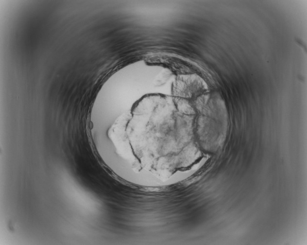 X0000096660381200803041206