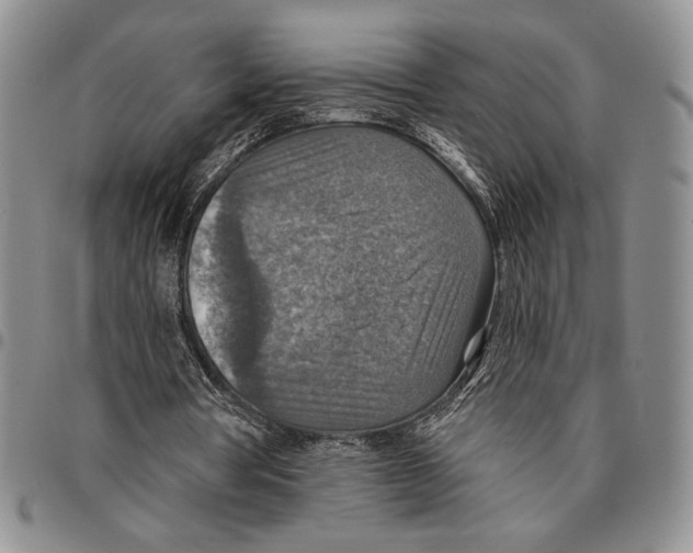 X0000096660386200803041205