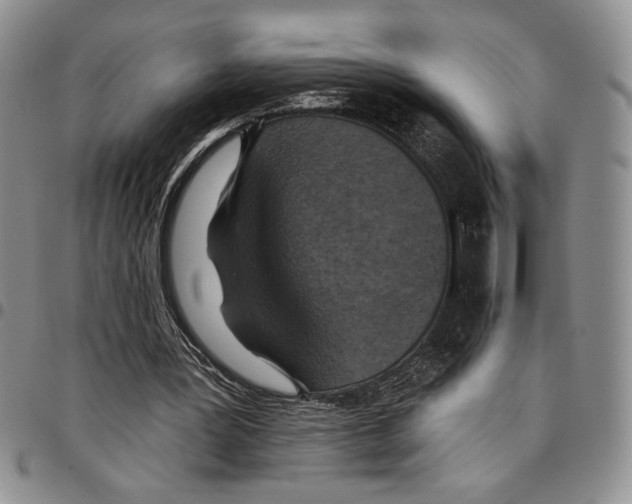 X0000096660387200803041205