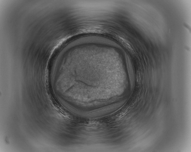 X0000096660388200803041205