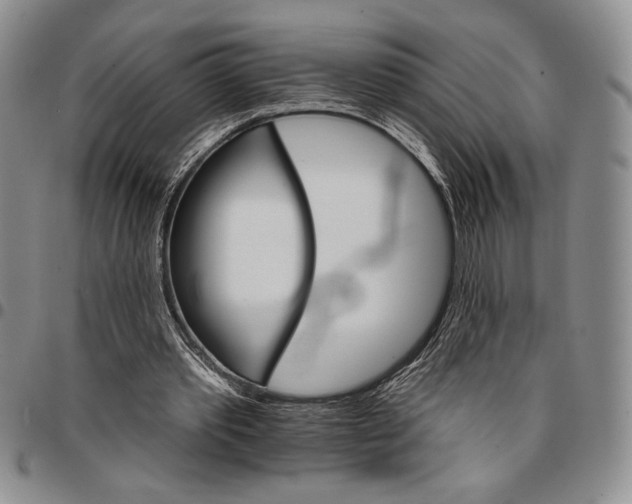 X0000096660389200803041205