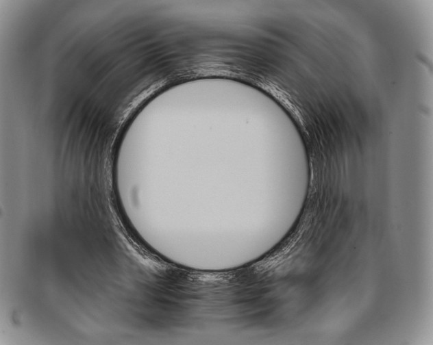 X0000096660390200803041205