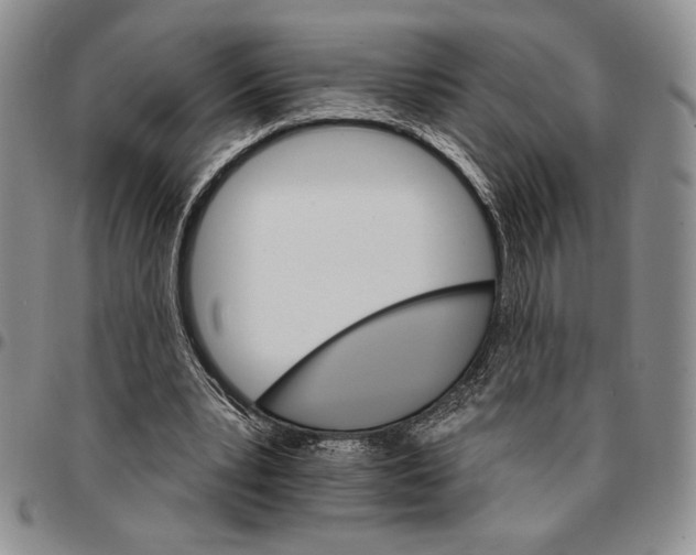 X0000096660391200803041205