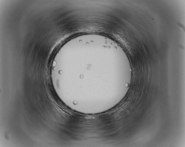 X0000096660392200803041205