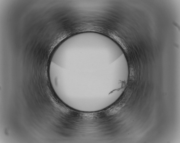 X0000096660394200803041205