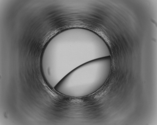 X0000096660397200803041205