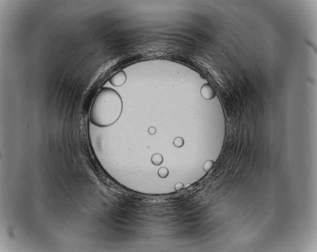 X0000096660400200803041205