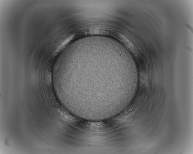 X0000096660401200803041205