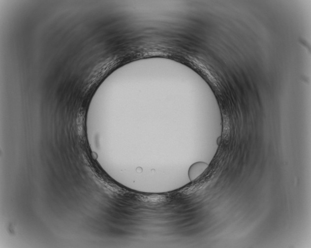 X0000096660402200803041205