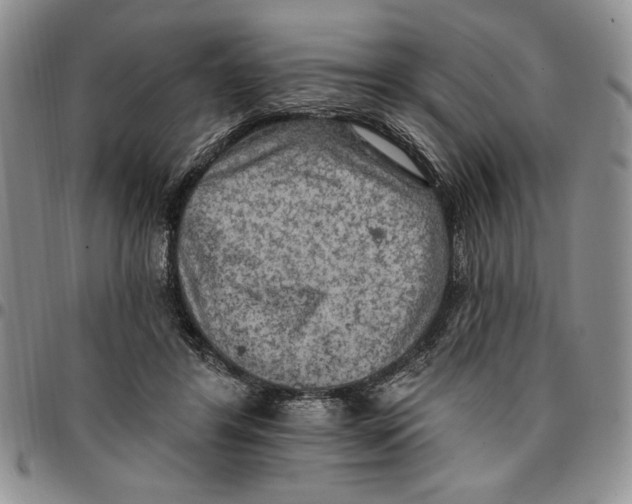 X0000096660404200803041205