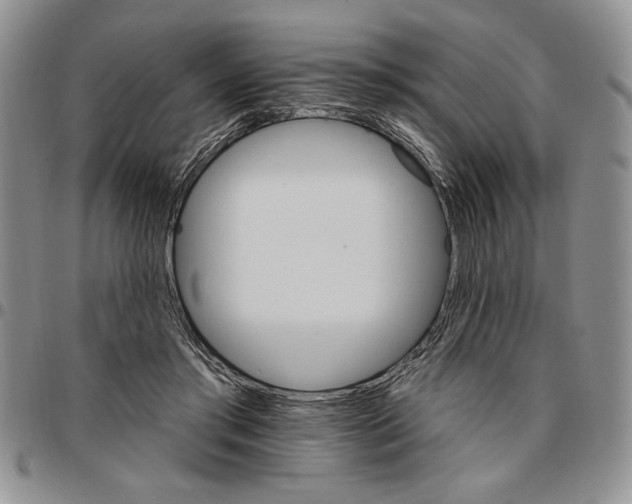 X0000096660405200803041205