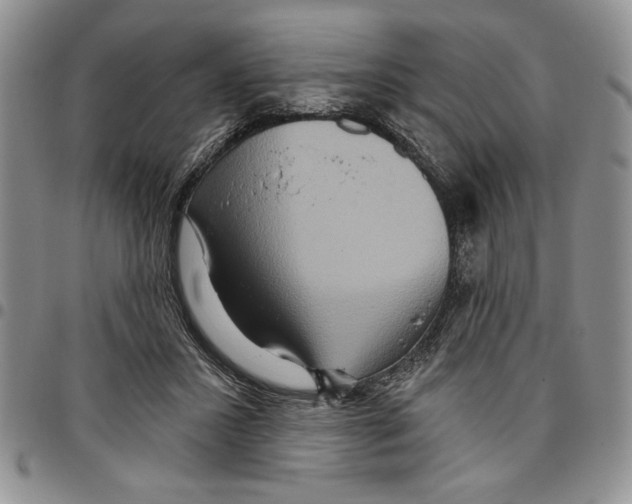 X0000096660407200803041205