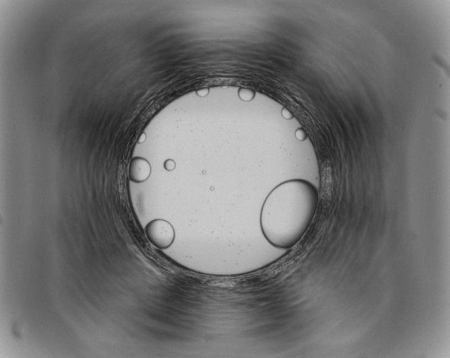 X0000096660408200803041205