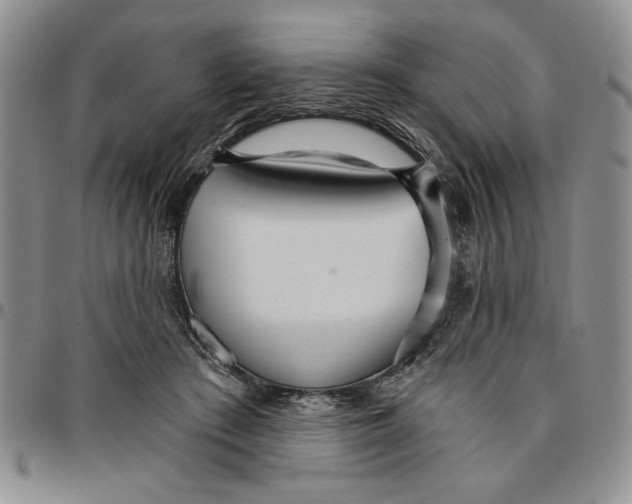 X0000096660409200803041205