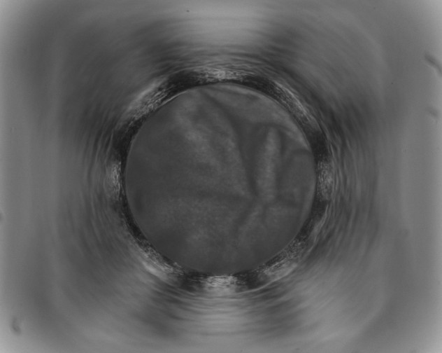 X0000096660410200803041205