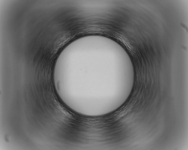 X0000096660411200803041205