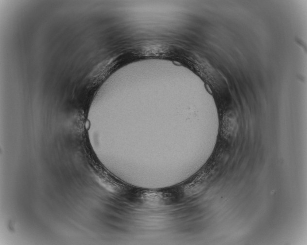 X0000096660413200803041205