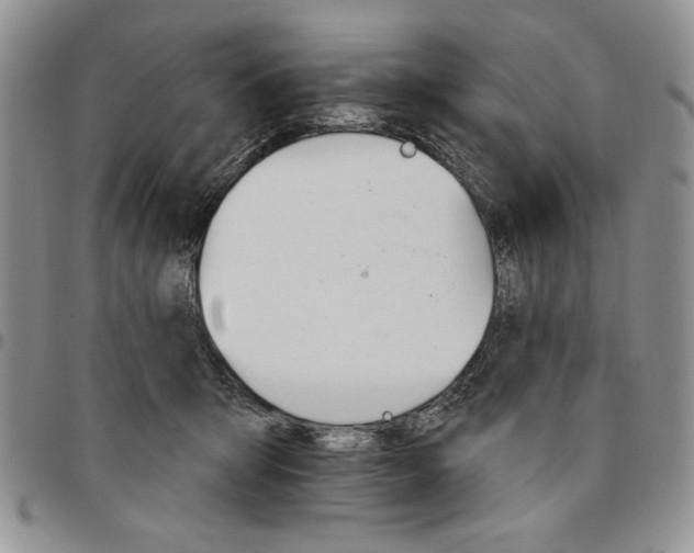 X0000096660415200803041205