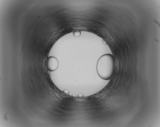 X0000096660416200803041205