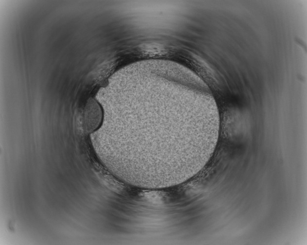 X0000096660417200803041205