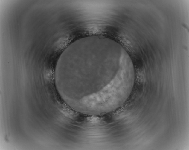 X0000096660419200803041204