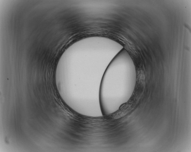 X0000096660421200803041204