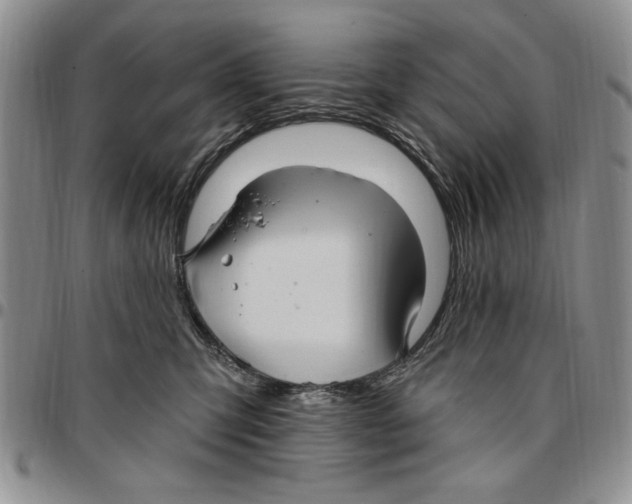 X0000096660423200803041204