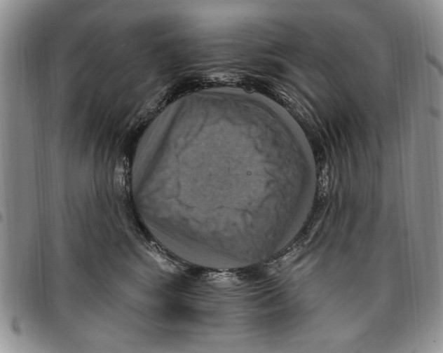 X0000096660424200803041204