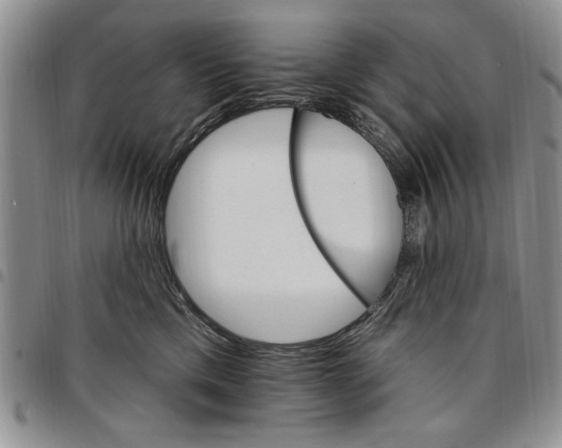 X0000096660425200803041204