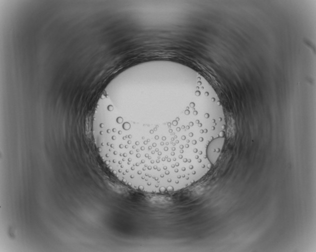 X0000096660426200803041204