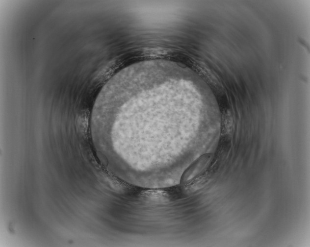 X0000096660427200803041204