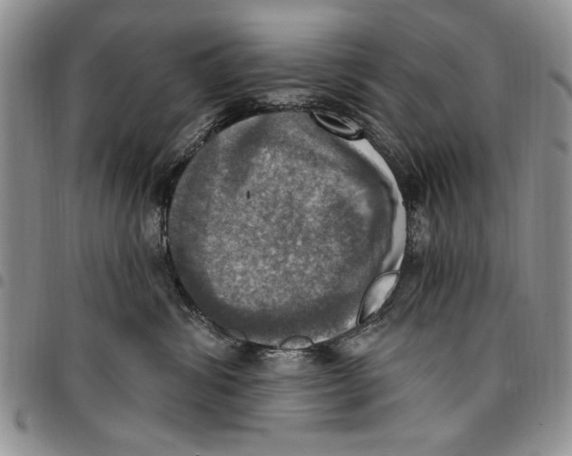 X0000096660428200803041204