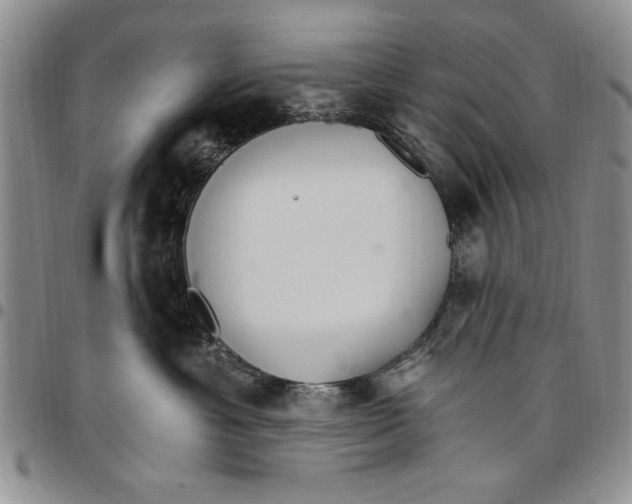 X0000096660429200803041204