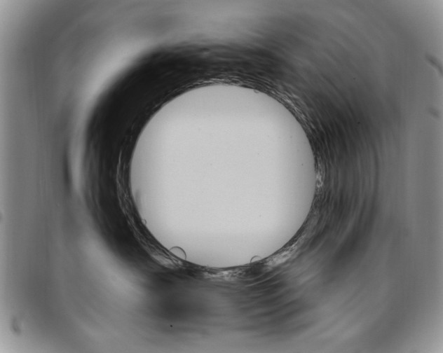 X0000096660430200803041204