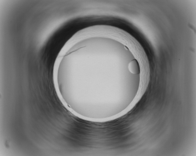 X0000096660431200803041204