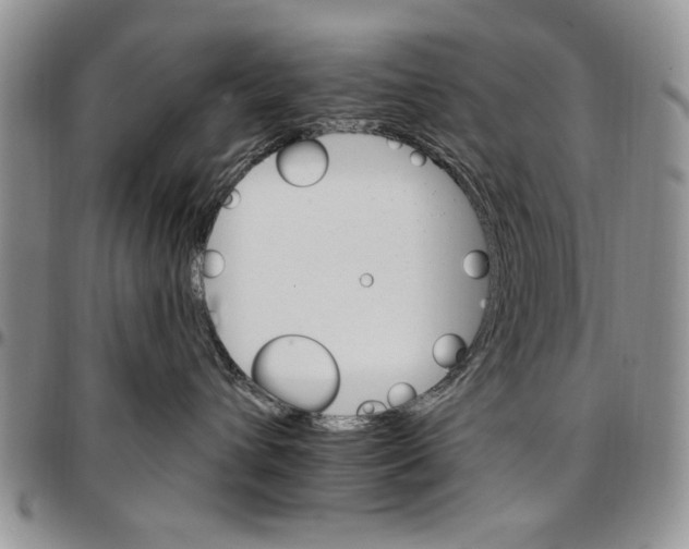 X0000096660432200803041204