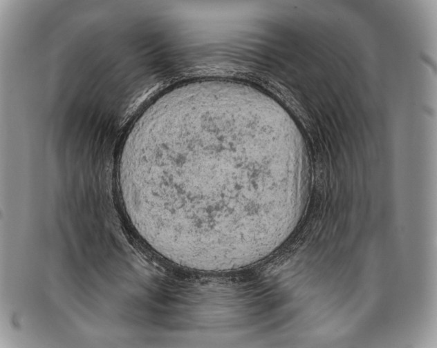 X0000096660434200803041204