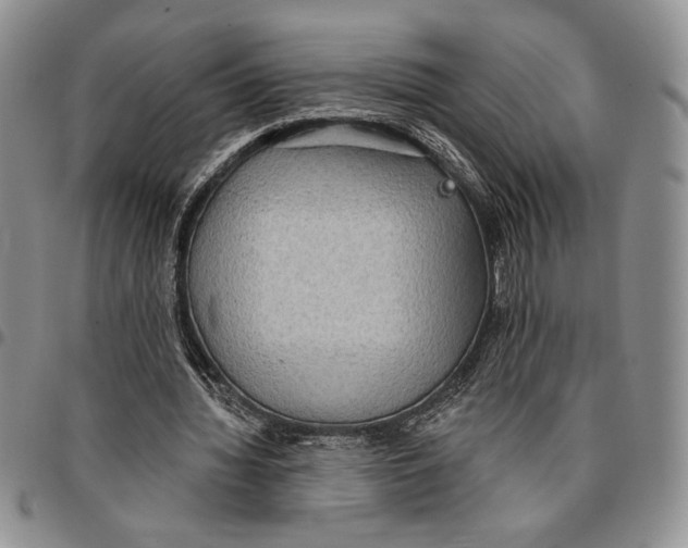 X0000096660436200803041204