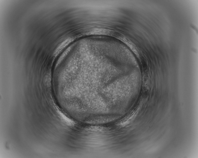 X0000096660437200803041204