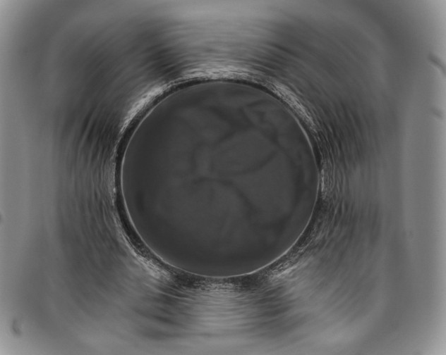 X0000096660438200803041204