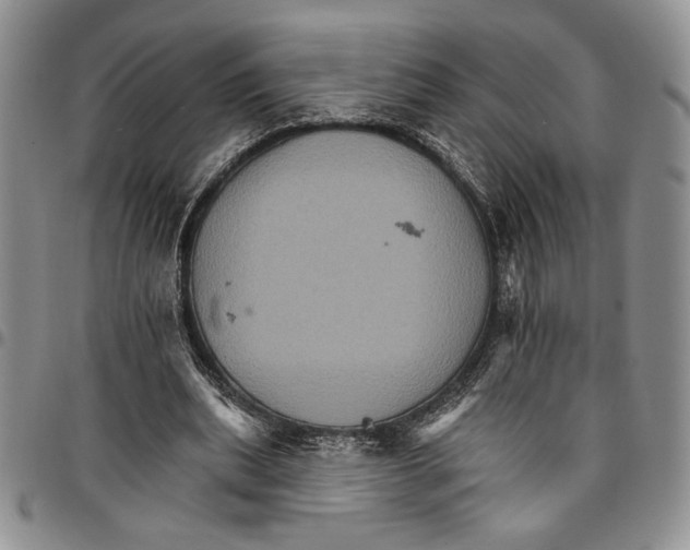 X0000096660439200803041204