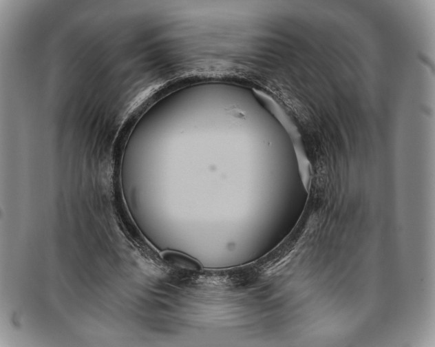 X0000096660440200803041204